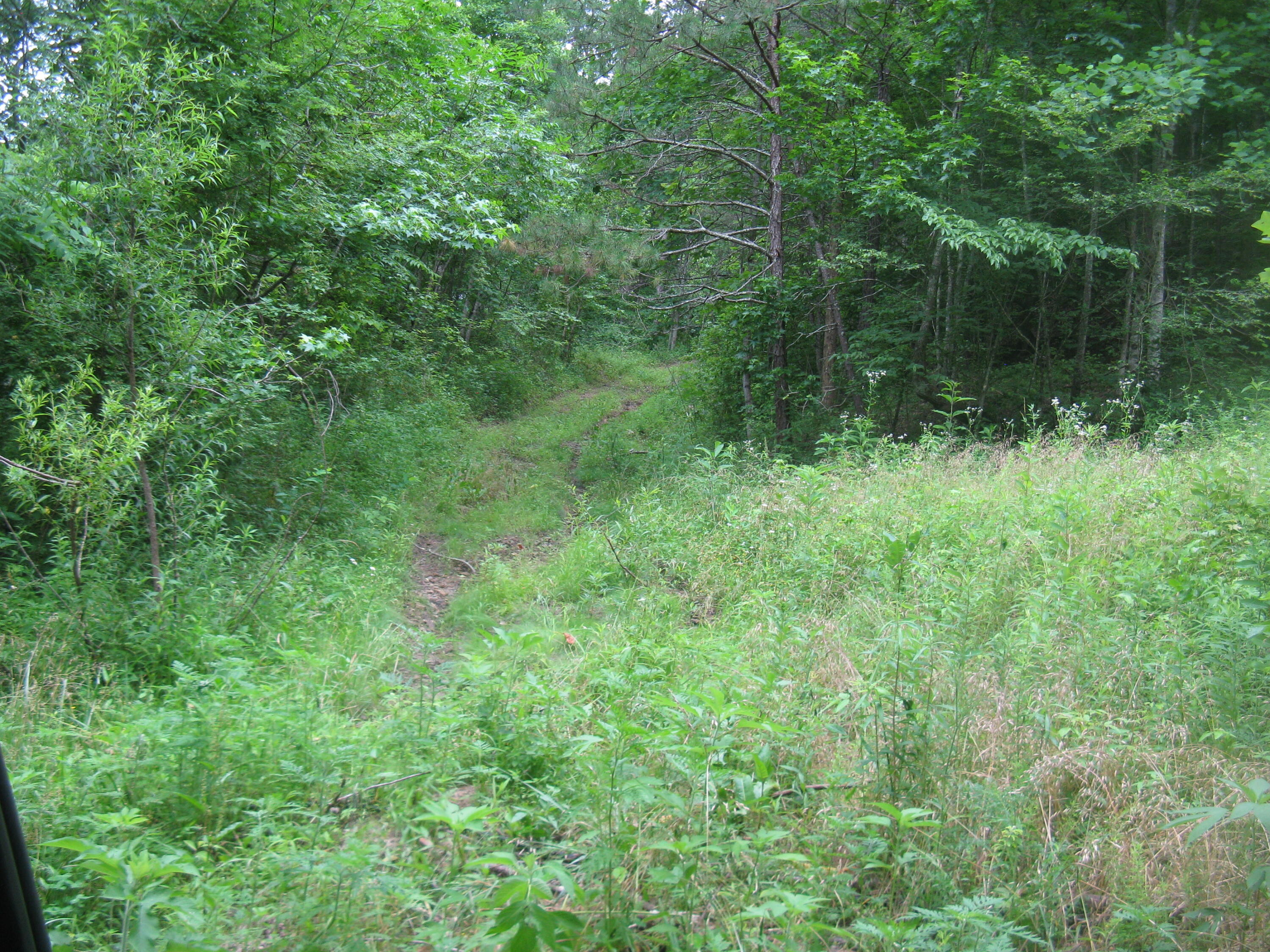 9999 Crane Creek Road Manchester, KY 40962 - Photo 7 of 18 2bb2c8e8-0601-4c8d-9434-fbfbc8a50f3f