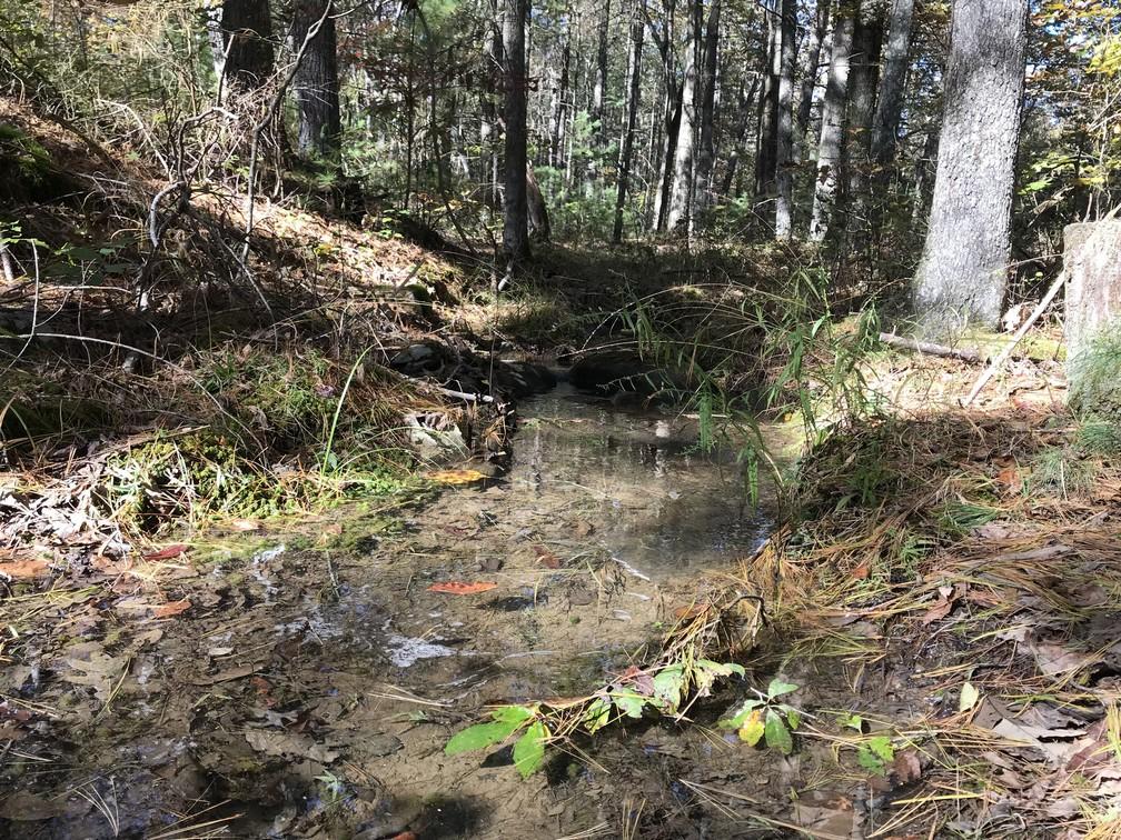 Lot 110 Lou Road Pikeville, TN 37367 - Photo 2 of 24 IMG_0616