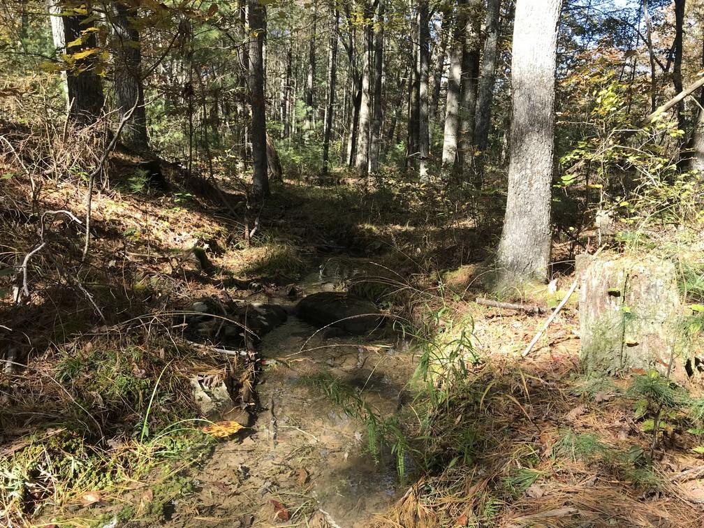 Lot 110 Lou Road Pikeville, TN 37367 - Photo 3 of 24 IMG_0617