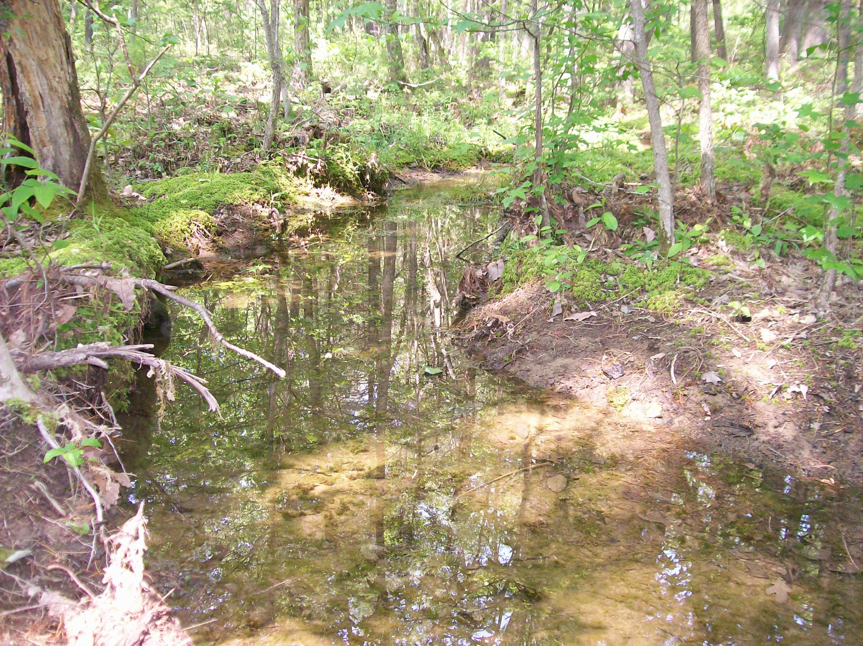 Lot 110 Lou Road Pikeville, TN 37367 - Photo 6 of 24 GP 110 (5)