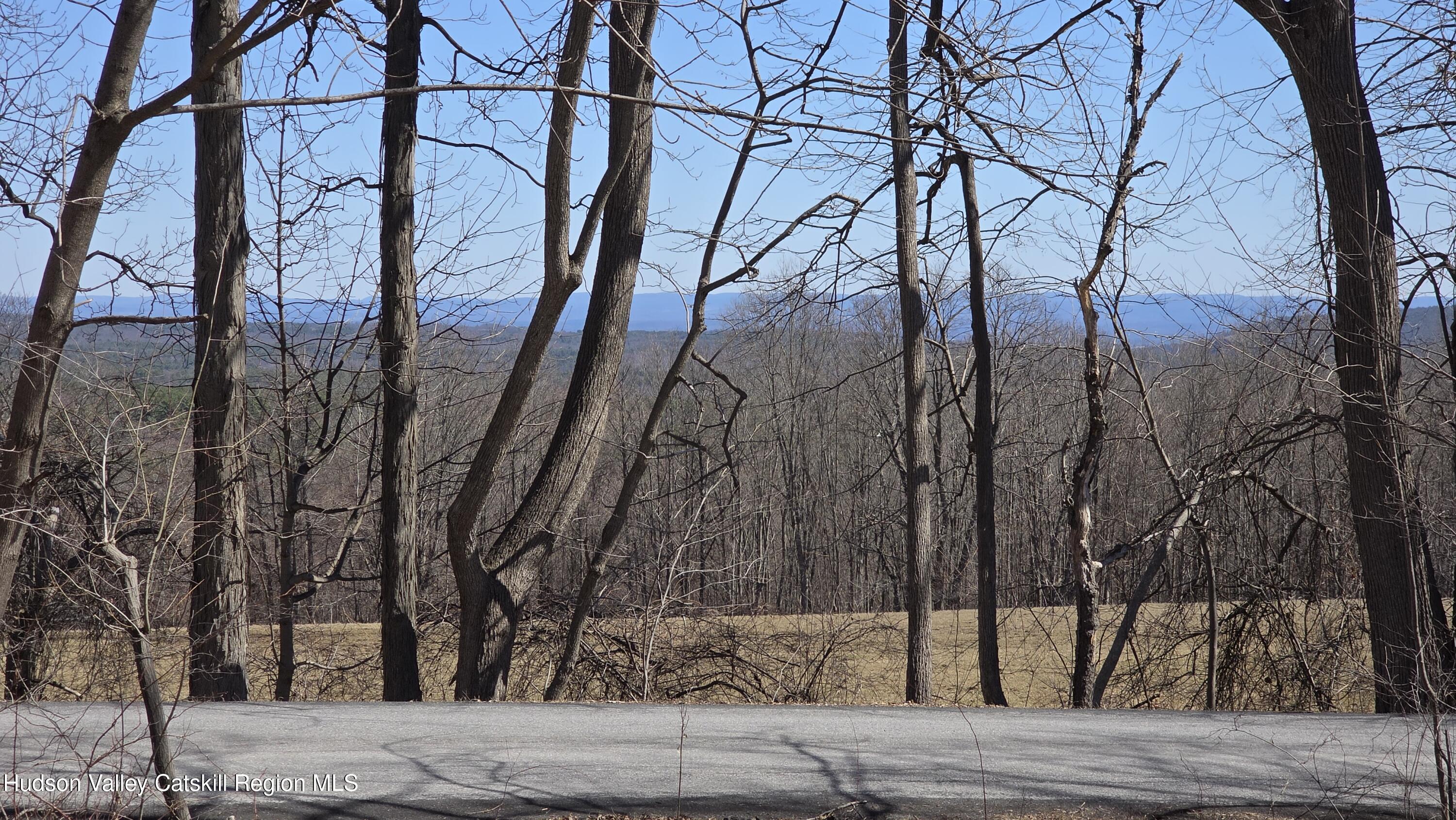 0 King Hill Road Freehold, NY 12431 - Photo 2 of 9 a view of a yard