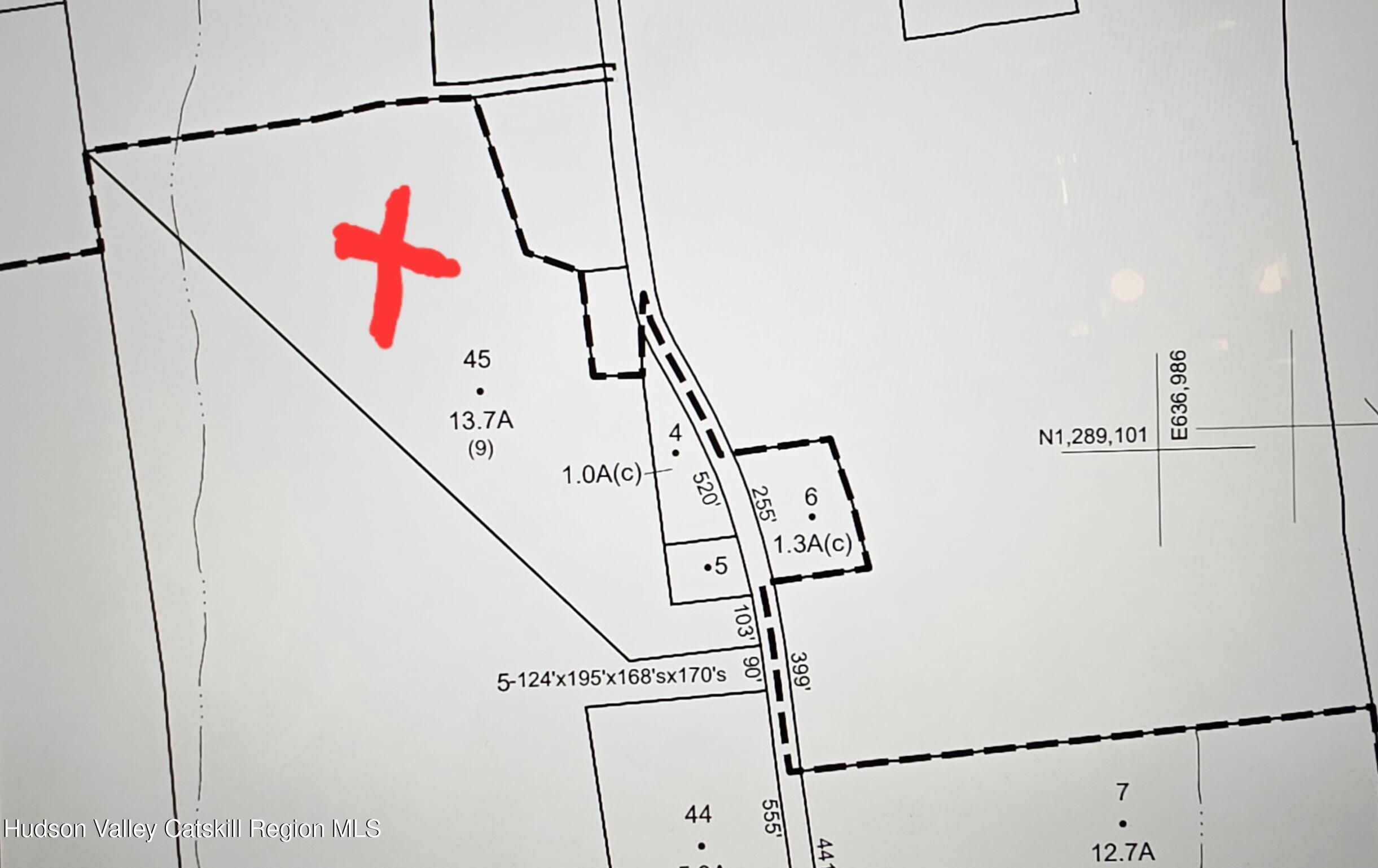 0 King Hill Road Freehold, NY 12431 - Photo 3 of 9