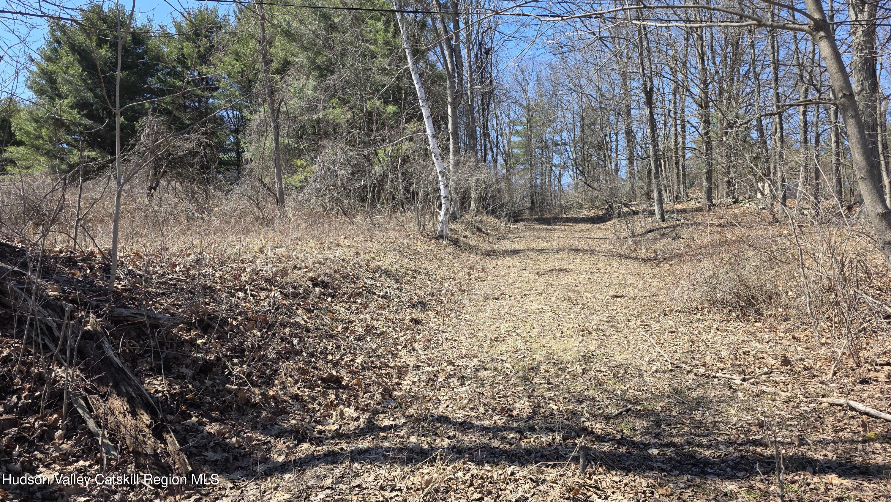 0 King Hill Road Freehold, NY 12431 - Photo 5 of 9 a view of a backyard with large trees
