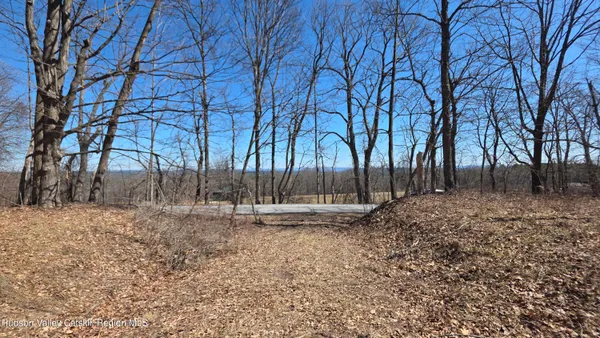 a view of outdoor space with lots of trees