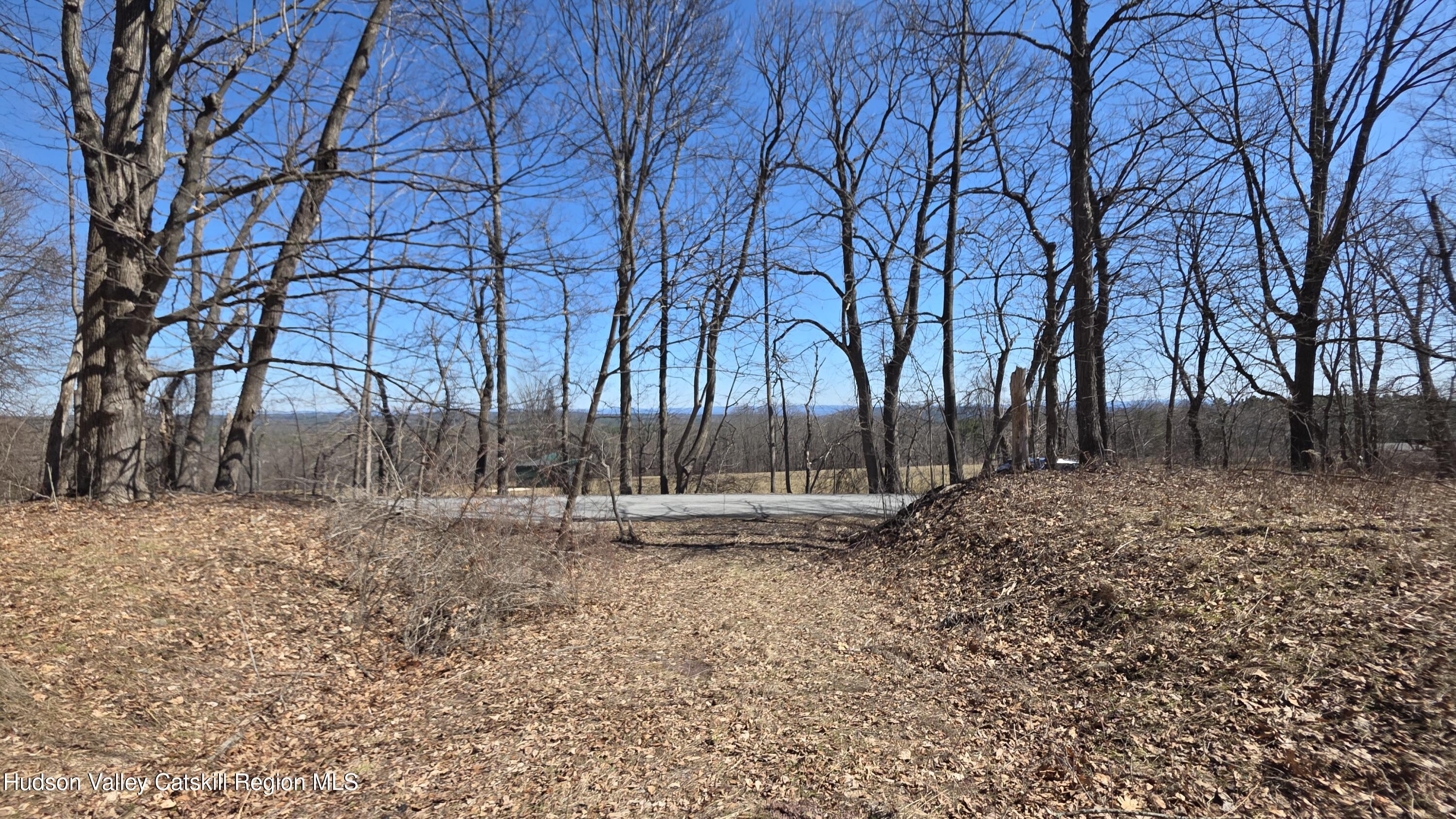0 King Hill Road Freehold, NY 12431 - Photo 6 of 9 a backyard of a house with lots of green space
