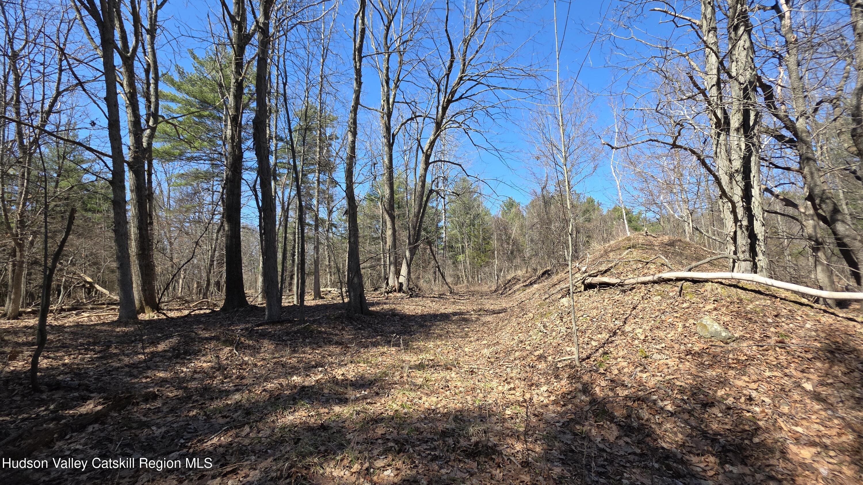 0 King Hill Road Freehold, NY 12431 - Photo 9 of 9 a view of a backyard of the house