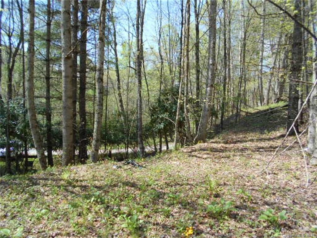 1873 Watershed Road Mars Hill, NC 28754 - Photo 22 of 26 Gallery Image 22