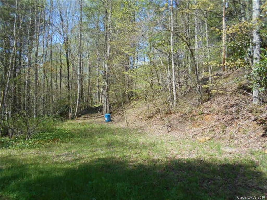 1873 Watershed Road Mars Hill, NC 28754 - Photo 4 of 26 Gallery Image 4
