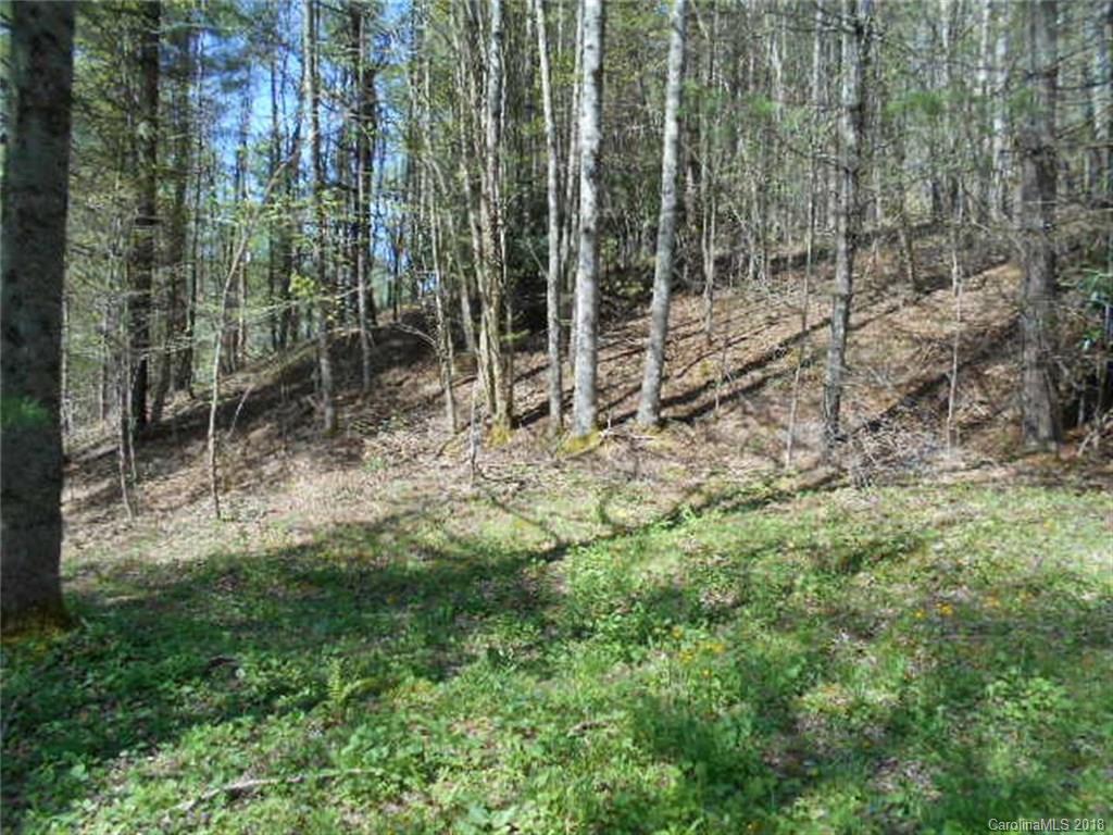 1873 Watershed Road Mars Hill, NC 28754 - Photo 6 of 26 Gallery Image 6