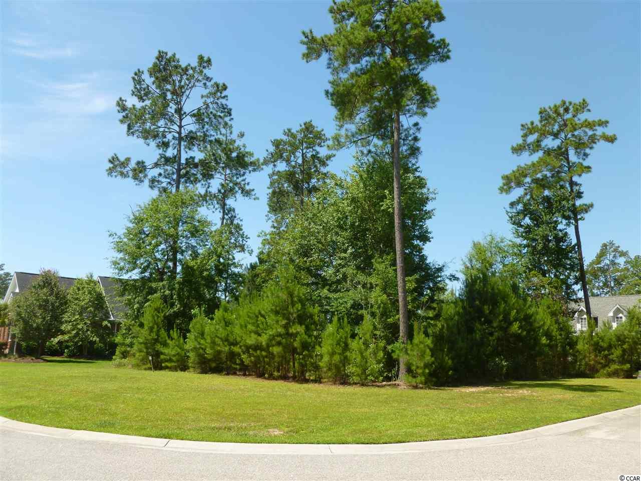 Lot 58 Gray Moss Road Murrells Inlet, SC 29576 - Photo 3 of 16 Gallery Image 3
