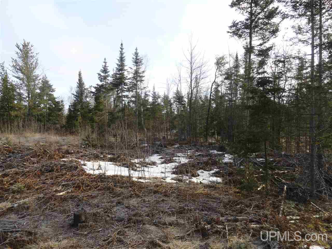 116-acres 116-acres Co Road Negaunee, MI 49866 - Photo 20 of 37