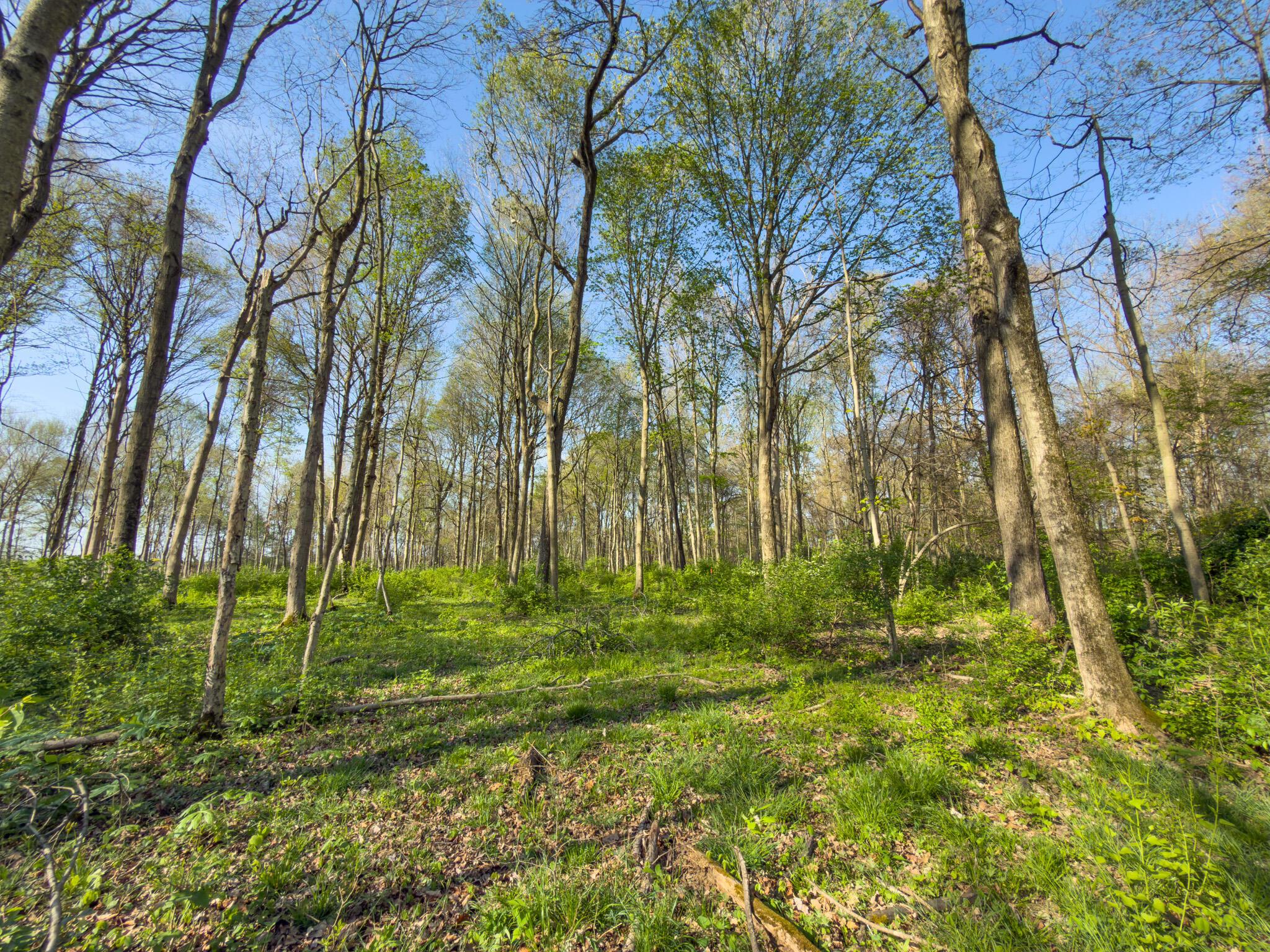 9874 Cincinnati-Zanesville Road Southwest Amanda, OH 43102 - Photo 35 of 50 cinci-zane rd sw-35