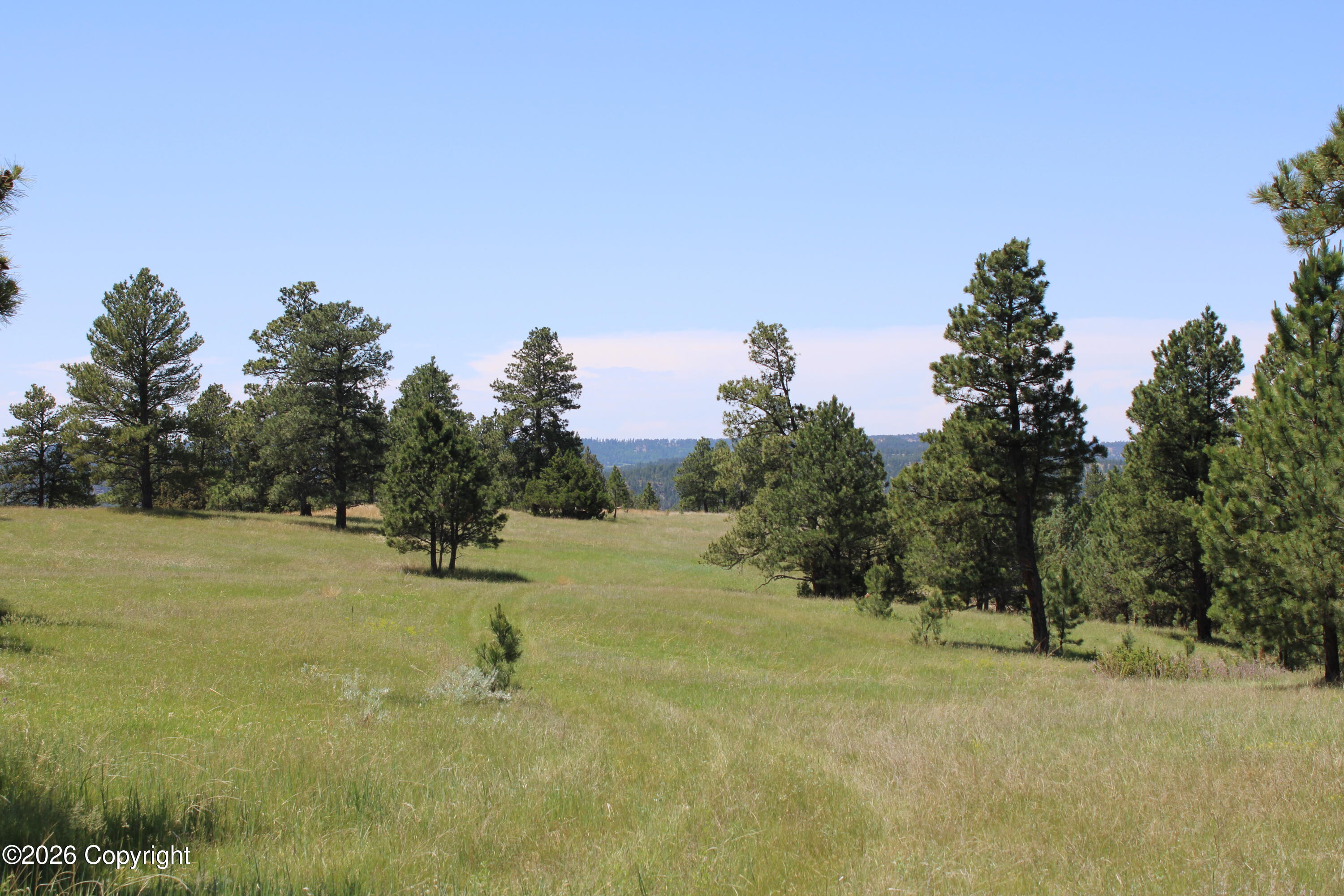 10 River Road Hulett, WY 82720 - Photo 16 of 31 Gallery Image 16