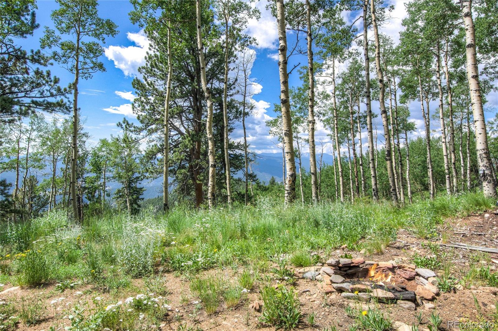 0 Robinson Hill Road Black Hawk, CO 80422 - Photo 12 of 38