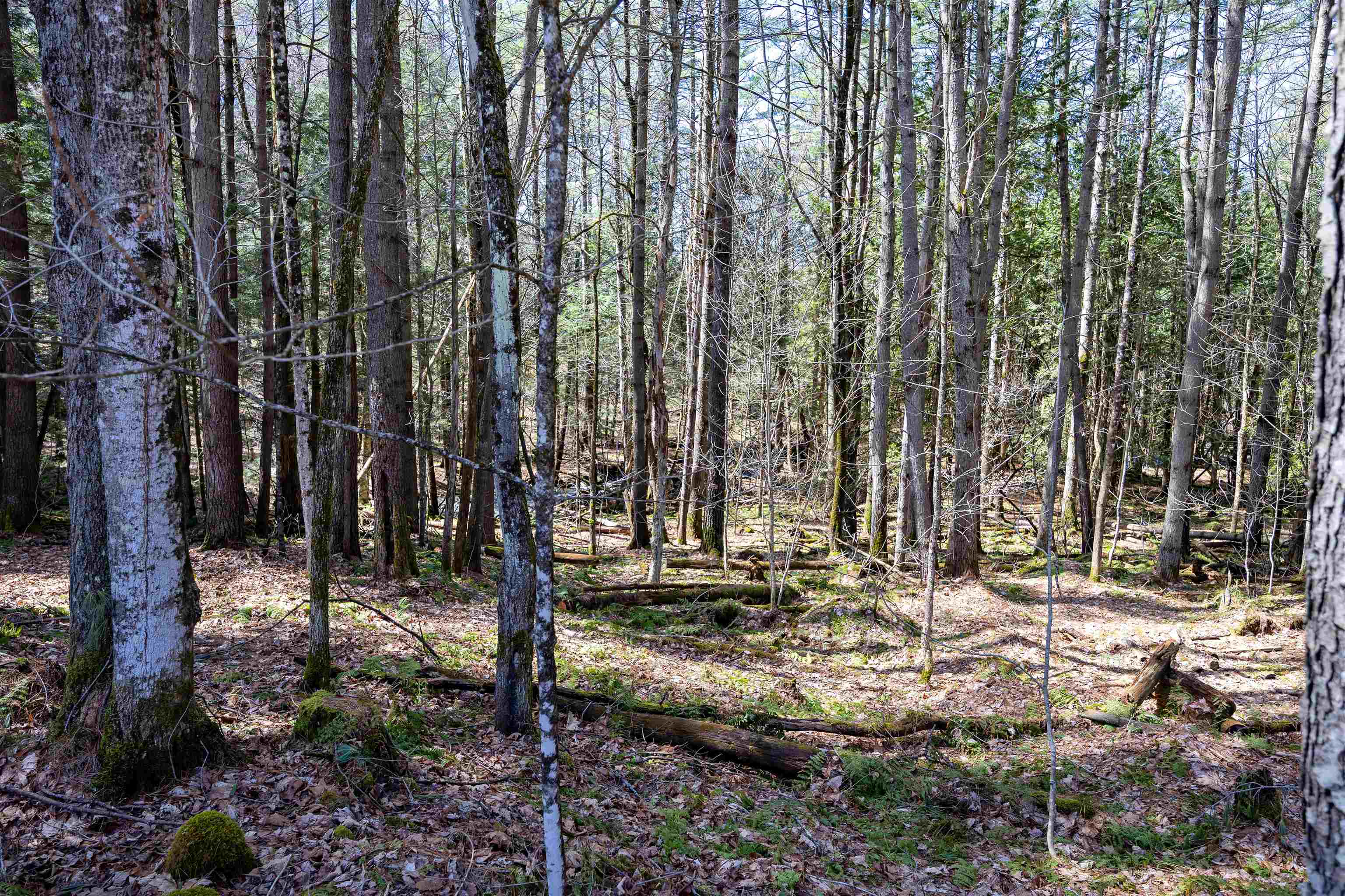 1799 Coppermine Road, Unit A Monroe, NH 03771 - Photo 41 of 44