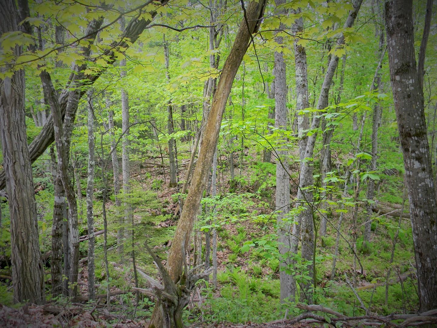 582 River Road Dresden, ME 04342 - Photo 8 of 13 8 (Copy)