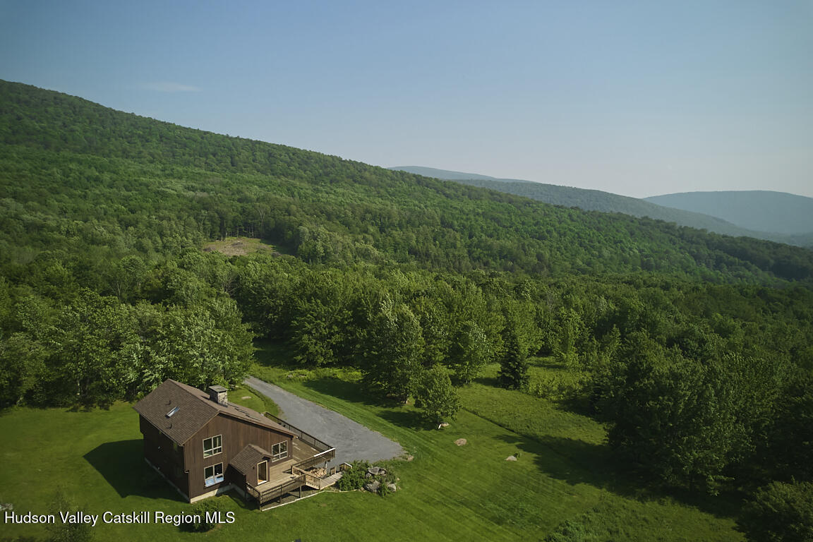 285 Mead Road Fleischmanns, NY 12430 - Photo 8 of 31 7 drone high from back views