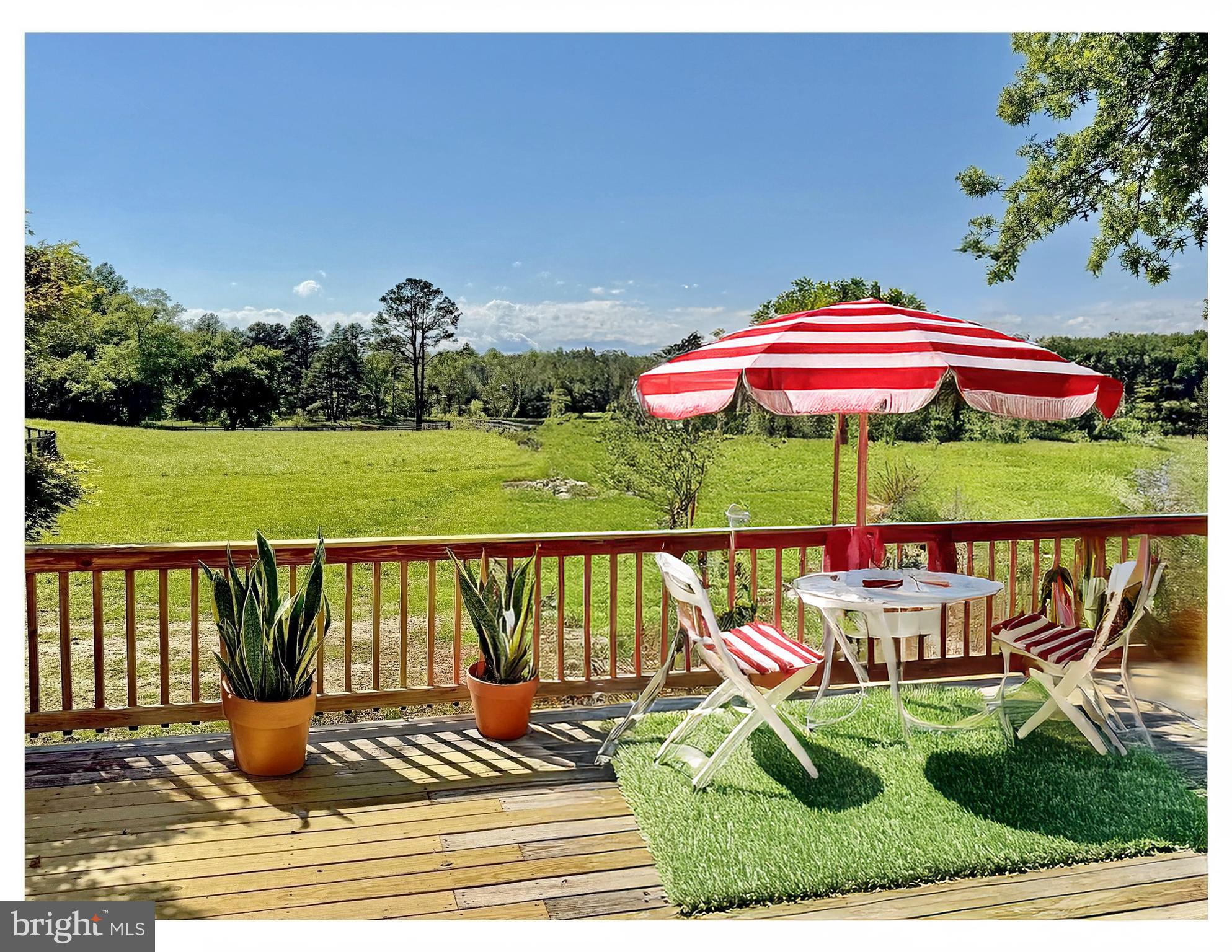 9248 Springs Road Warrenton, VA 20186 - Photo 13 of 21 Back deck
