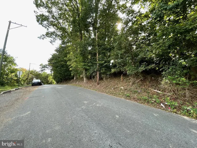 a view of a lush green space