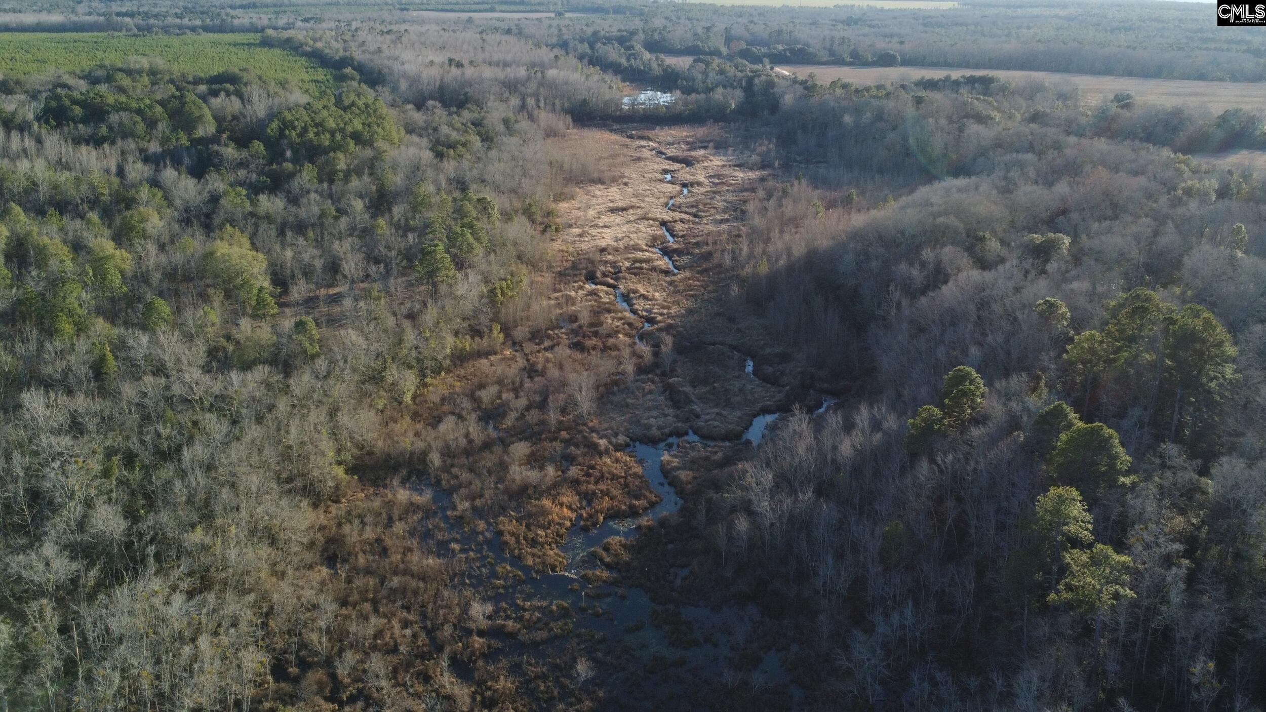 Tbd Tbd Millers Pond Road Salley, SC 29137 - Photo 4 of 20