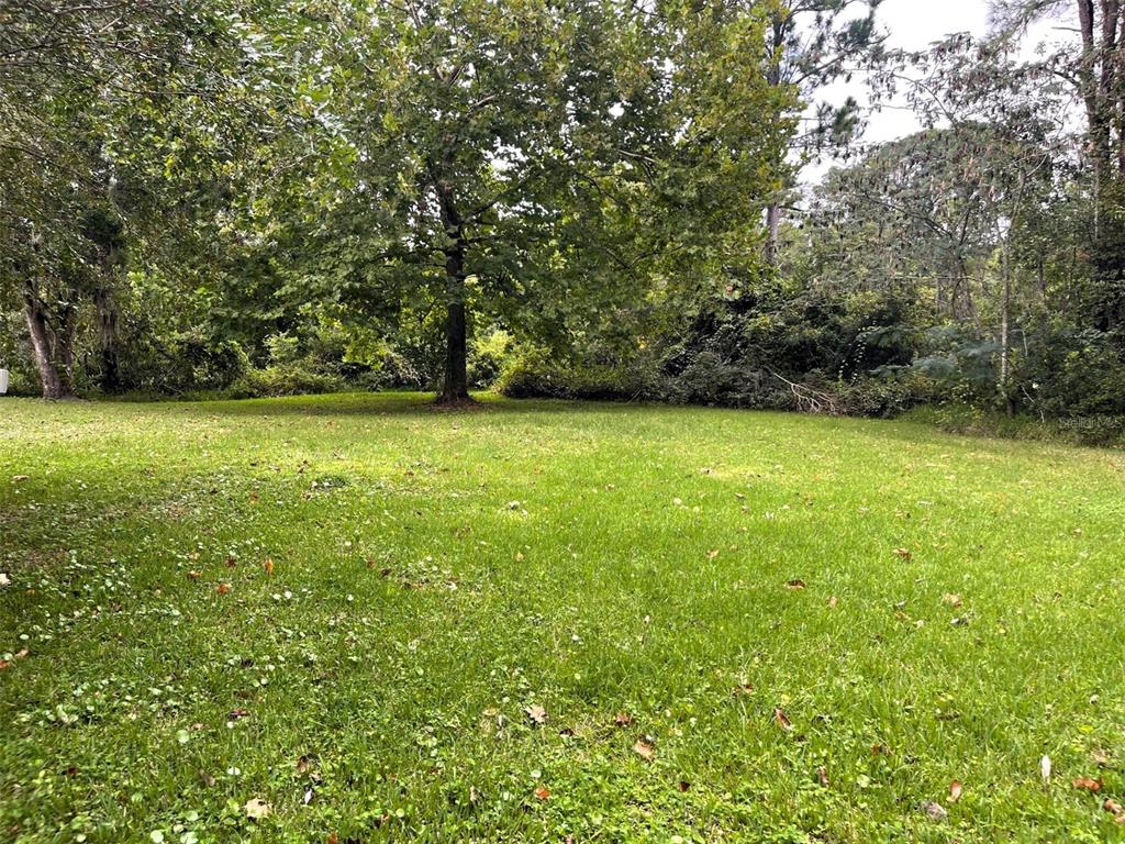 328 Old Peniel Road Palatka, FL 32177 - Photo 14 of 18 a view of yard with green space