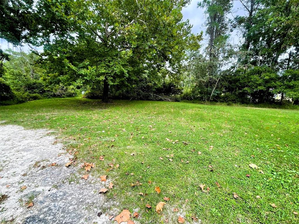 328 Old Peniel Road Palatka, FL 32177 - Photo 15 of 18 a view of a field with a trees
