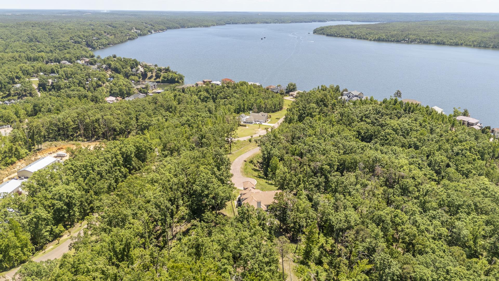 105 Riviera Cove Savannah, TN 38372 - Photo 38 of 40 an aerial view of a houses with a lake view