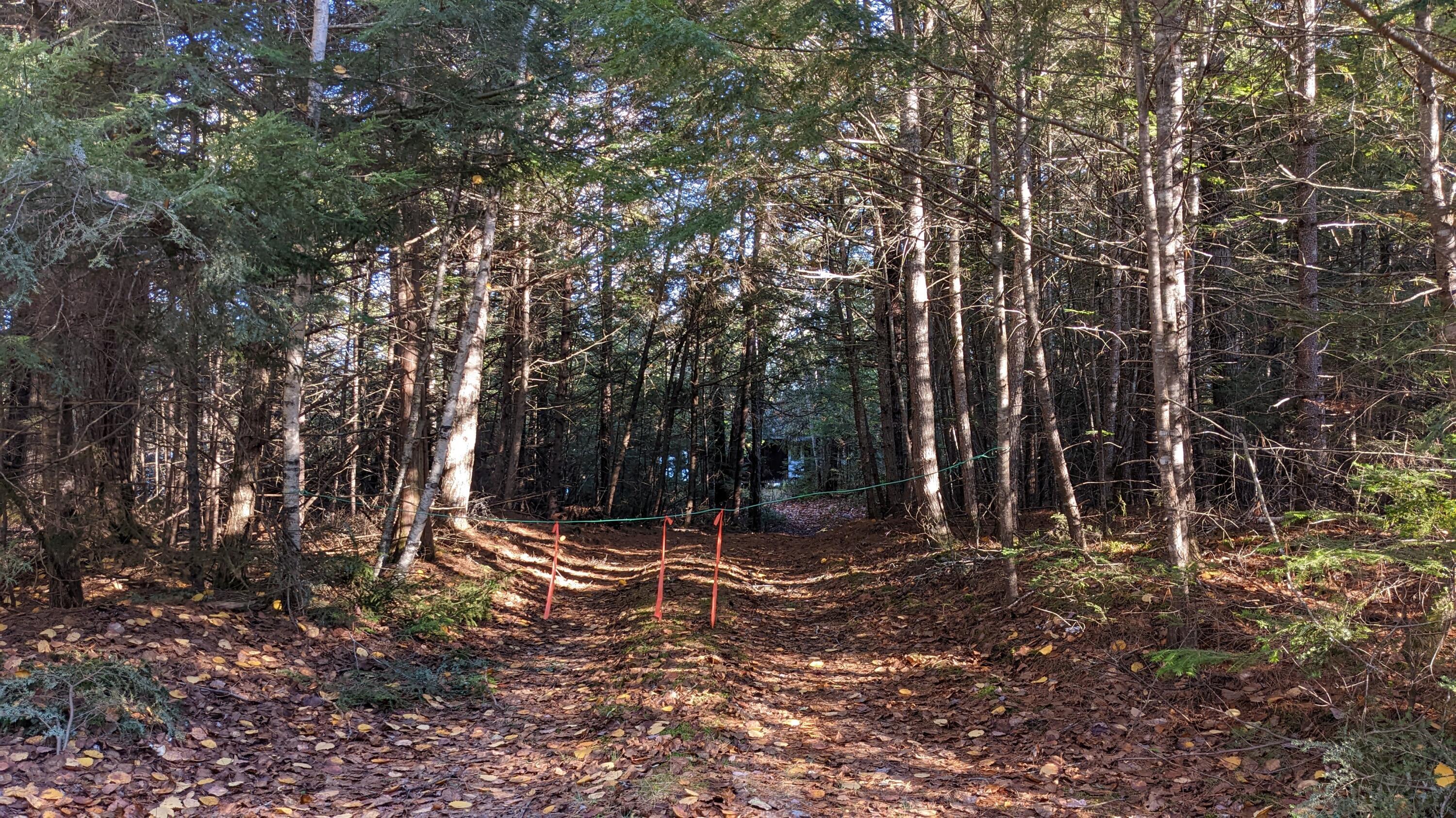 35 Silsby Road Ellsworth, ME 04605 - Photo 34 of 39 PXL_20221028_184903331