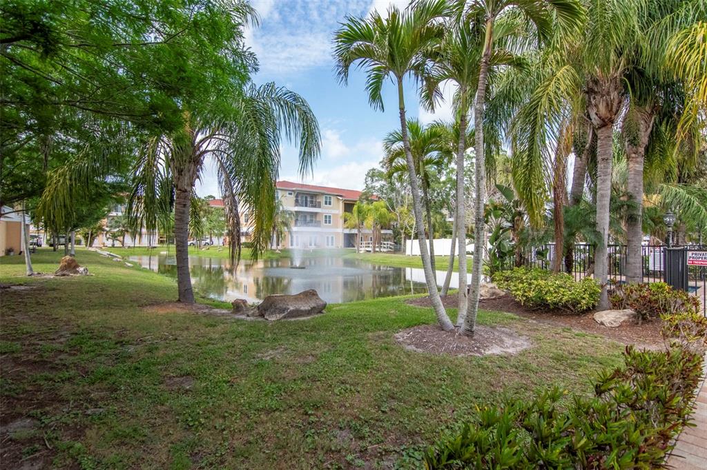 6420 Banyan Boulevard, Unit 303 New Port Richey, FL 34652 - Photo 31 of 54 a view of a park with palm trees