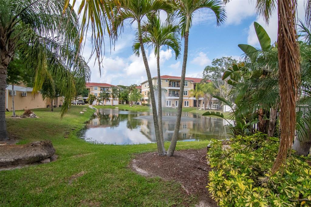 6420 Banyan Boulevard, Unit 303 New Port Richey, FL 34652 - Photo 32 of 54