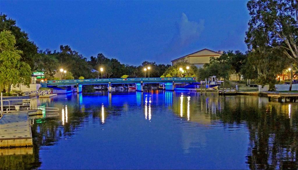 6420 Banyan Boulevard, Unit 303 New Port Richey, FL 34652 - Photo 44 of 54 a view of a swimming pool with sitting area