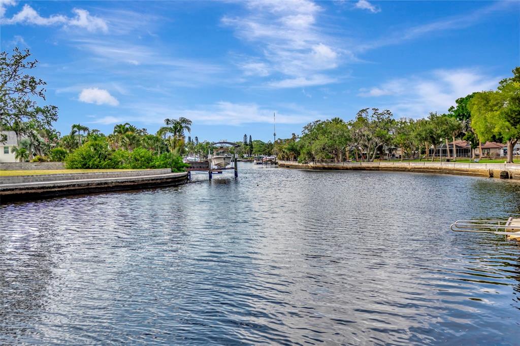 6420 Banyan Boulevard, Unit 303 New Port Richey, FL 34652 - Photo 51 of 54 a view of swimming pool with seating area and trees in the background