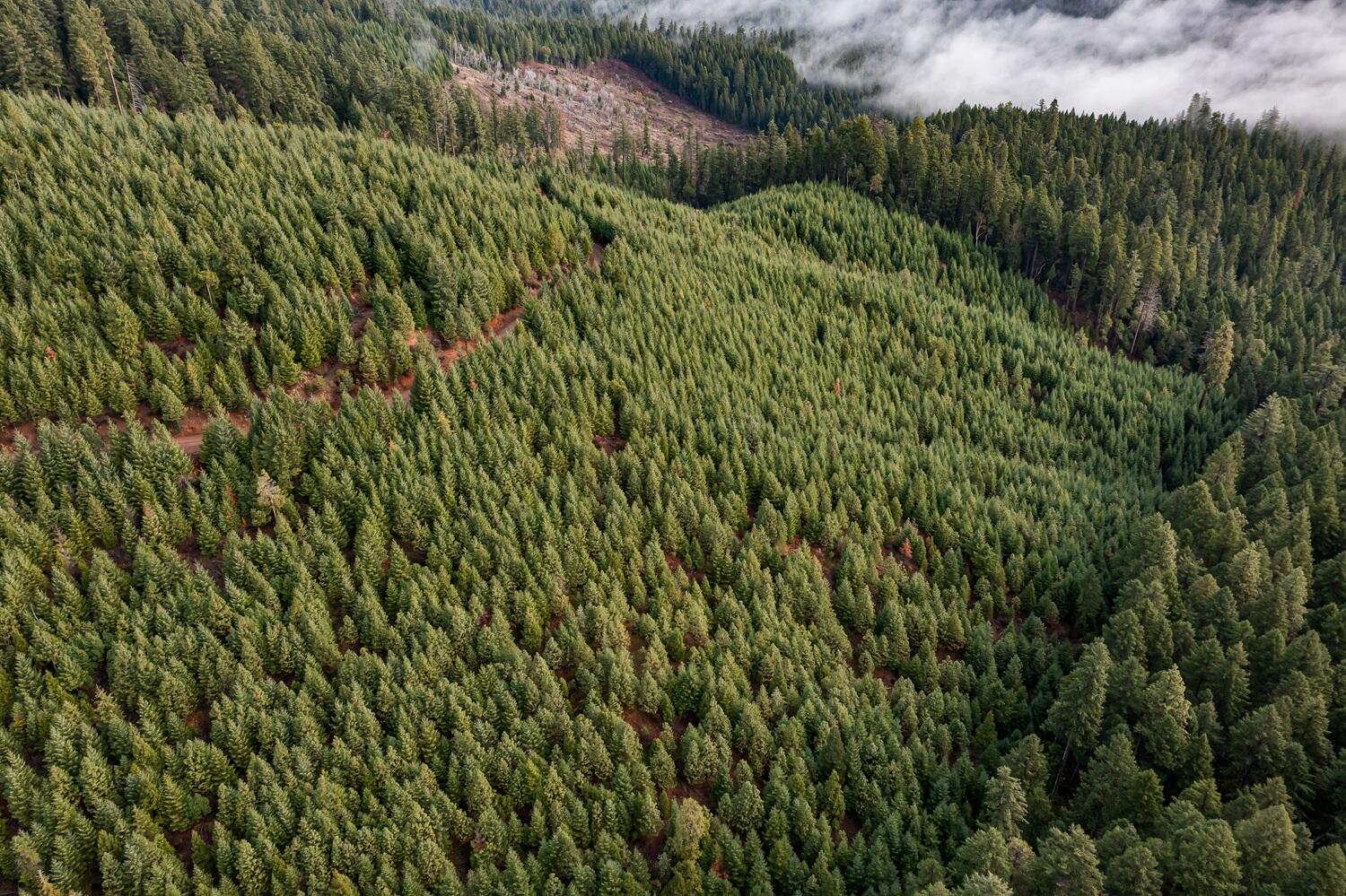 River Road Trail, OR 97541 - Photo 3 of 20 DJI_0903HDR27