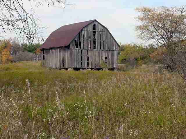 Tbd Goetze Road Applegate, MI 48401 - Photo 4 of 10 31032000-3.JPG