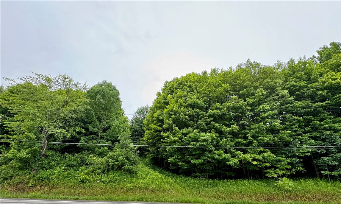 5757 State Highway Oneonta, NY 13820 - Photo 4 of 8