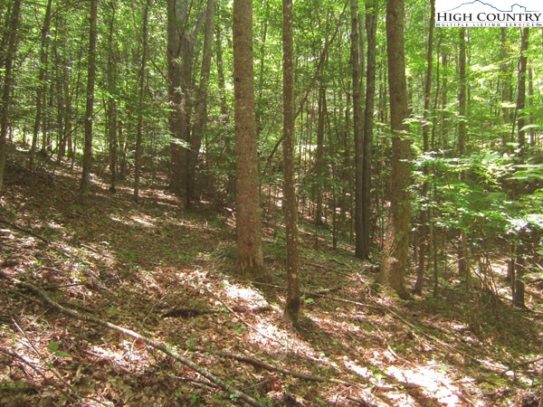 147 Raccoon Road Beech Mountain, NC 28604 - Photo 1 of 5 Gallery Image 1