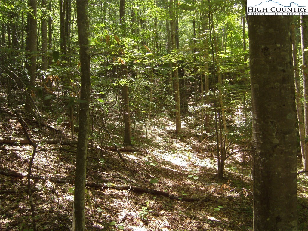 147 Raccoon Road Beech Mountain, NC 28604 - Photo 2 of 5 Gallery Image 2