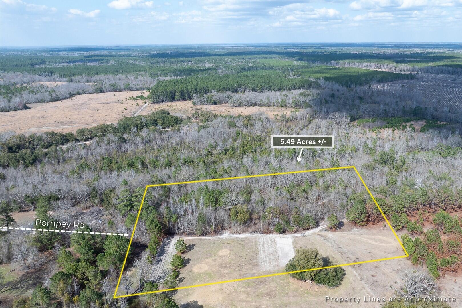 2 Pompey Road Manning, SC 29102 - Photo 2 of 40