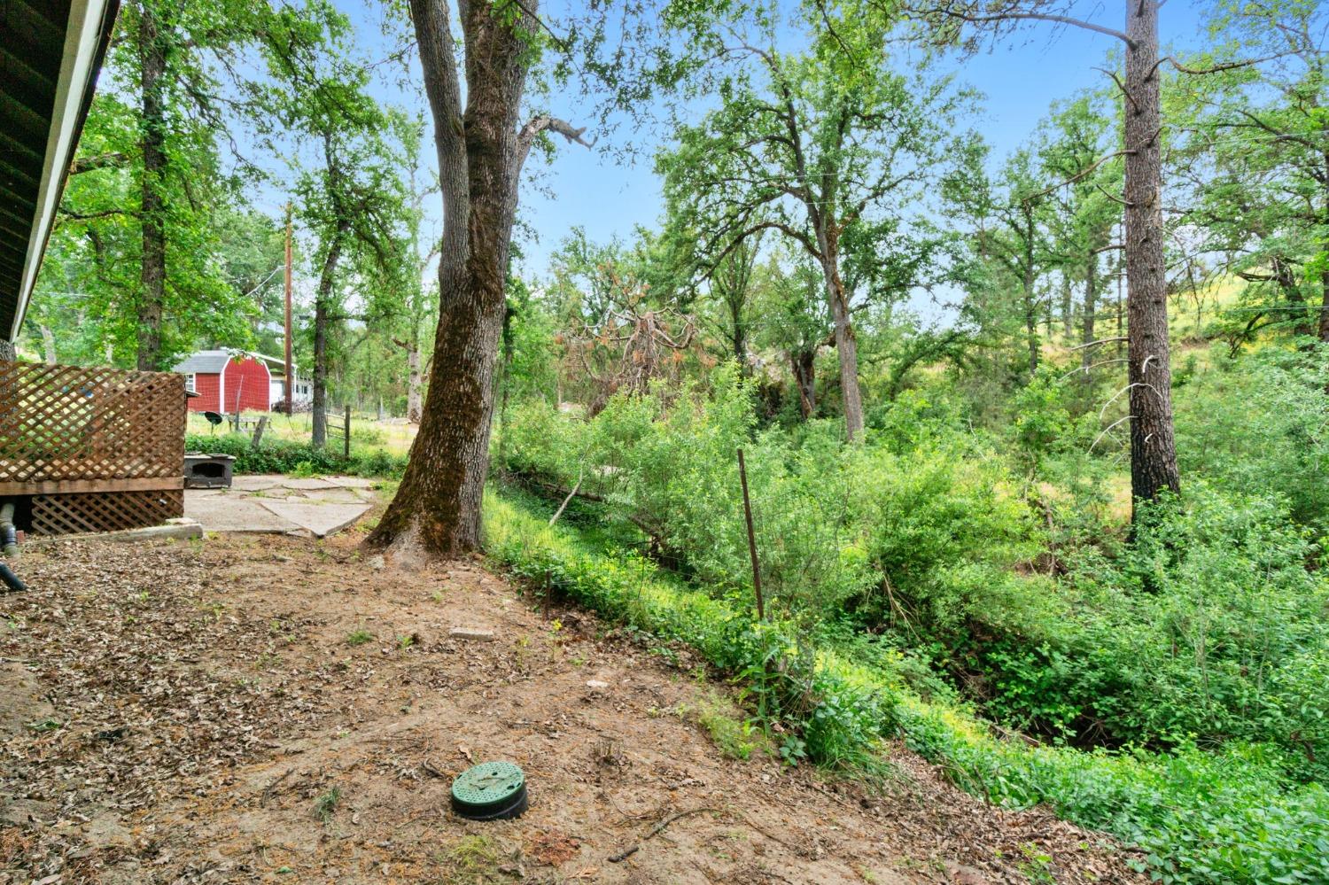 46801 Dunlap Road Miramonte, CA 93641 - Photo 21 of 28 a view of a street with potted plants and large trees