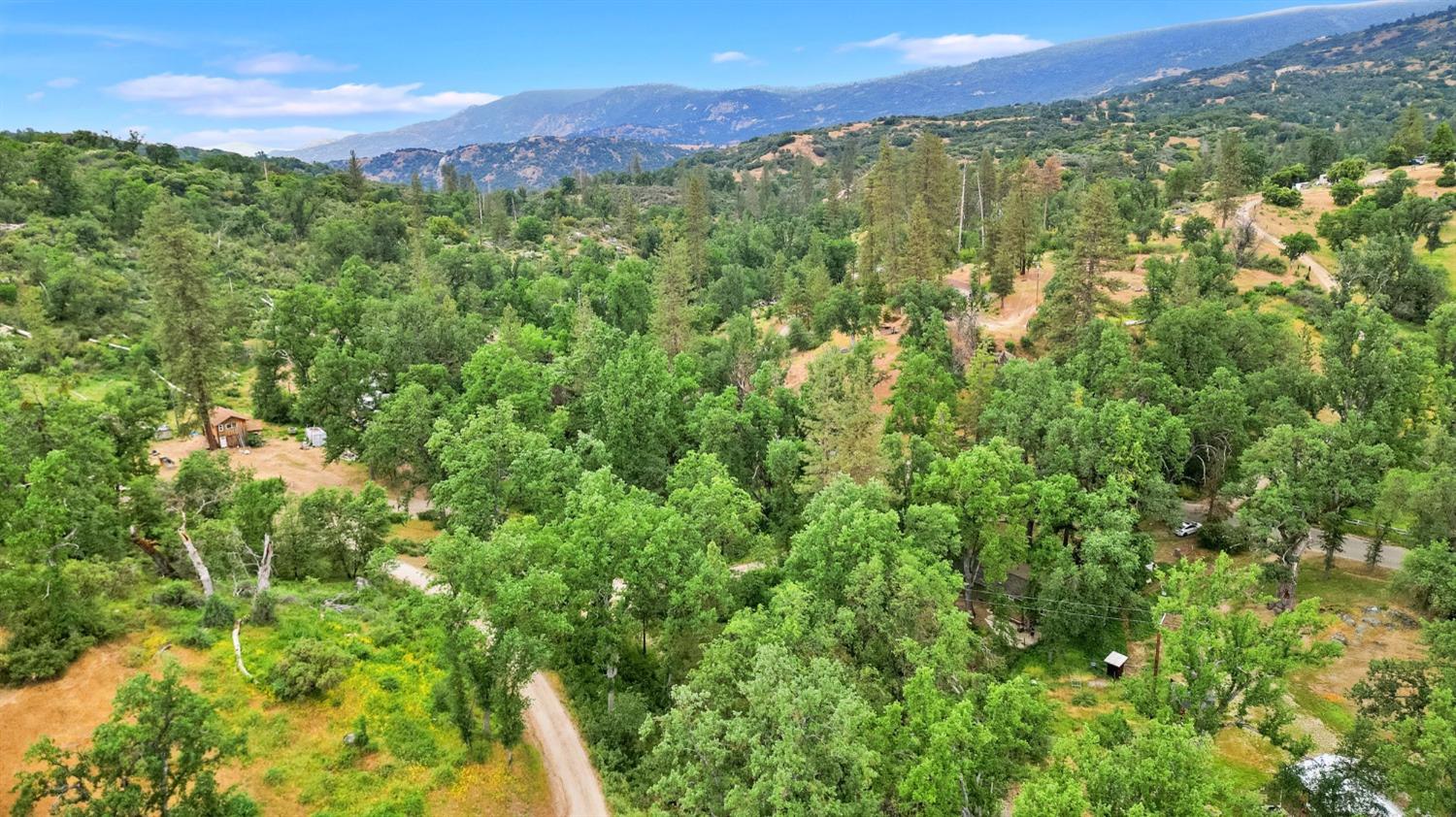 46801 Dunlap Road Miramonte, CA 93641 - Photo 22 of 28 a view of a city with lush green forest