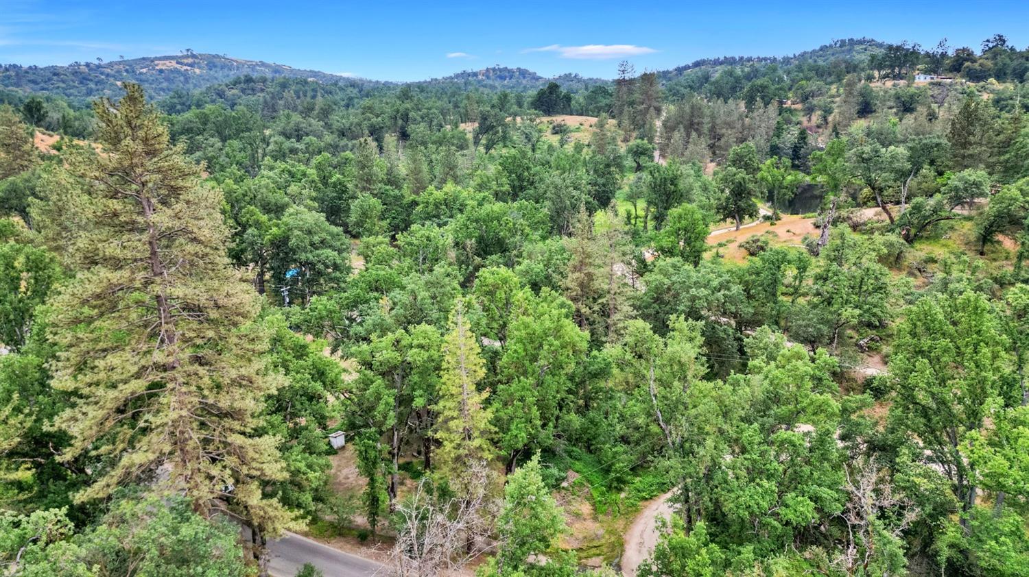 46801 Dunlap Road Miramonte, CA 93641 - Photo 24 of 28 a view of a lush green forest with trees in the background