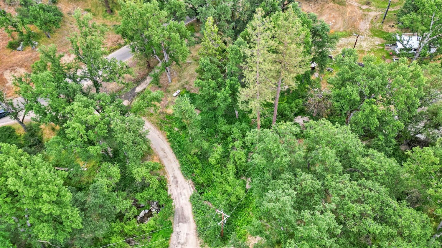 46801 Dunlap Road Miramonte, CA 93641 - Photo 25 of 28 a view of a lush green forest with large trees