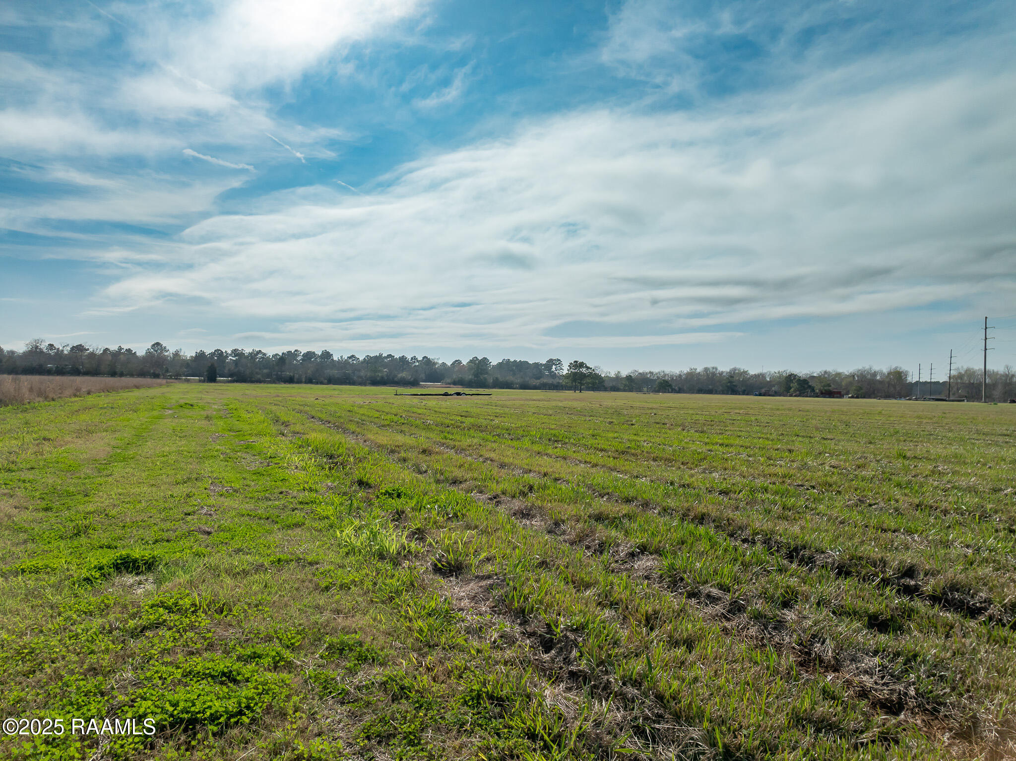 543 Abby Duson Road Egan, LA 70531 - Photo 5 of 11 DJI_0004