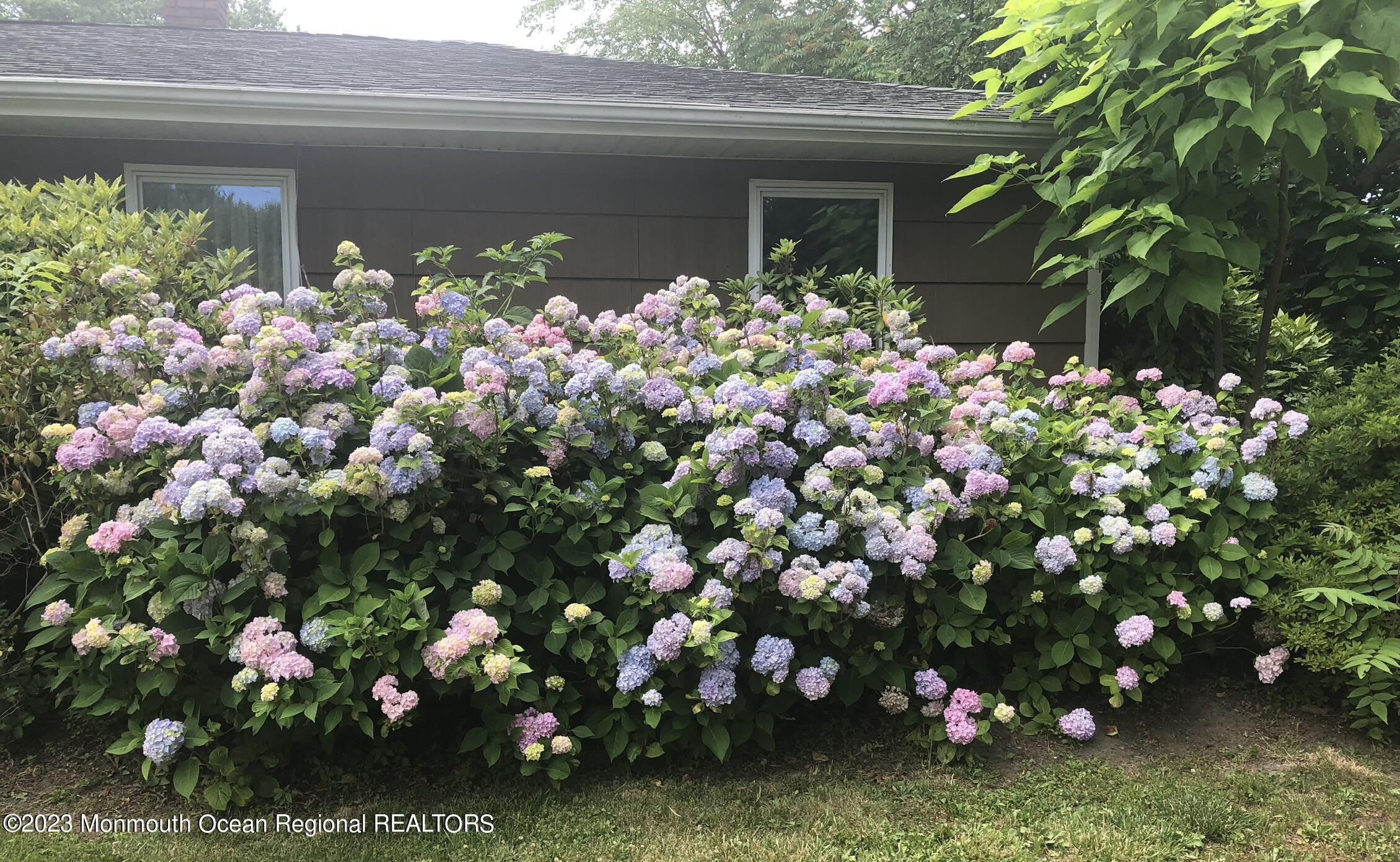 25 Middlesex Road Matawan, NJ 07747 - Photo 29 of 37 IMG_9617