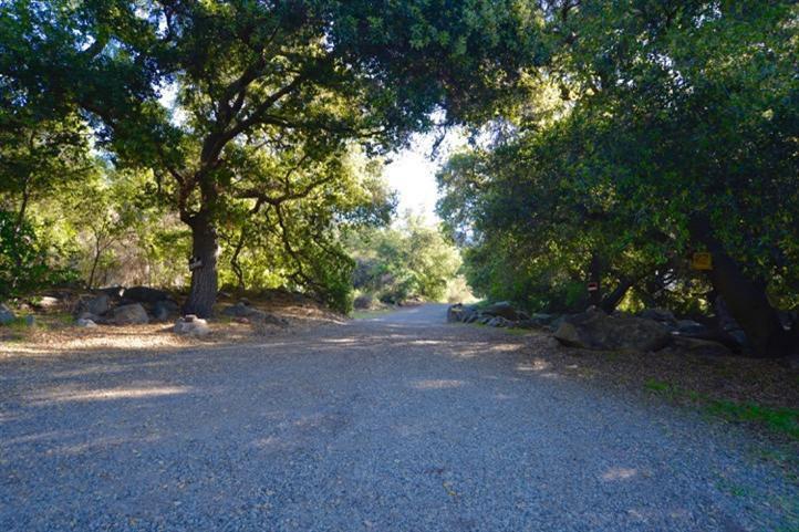 2300 Ladera Road Ojai, CA 93023 - Photo 22 of 23 Entry to the property through oak trees.