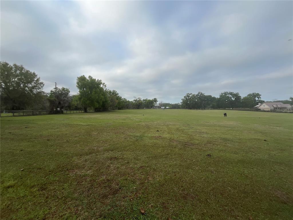 a view of a field with an ocean