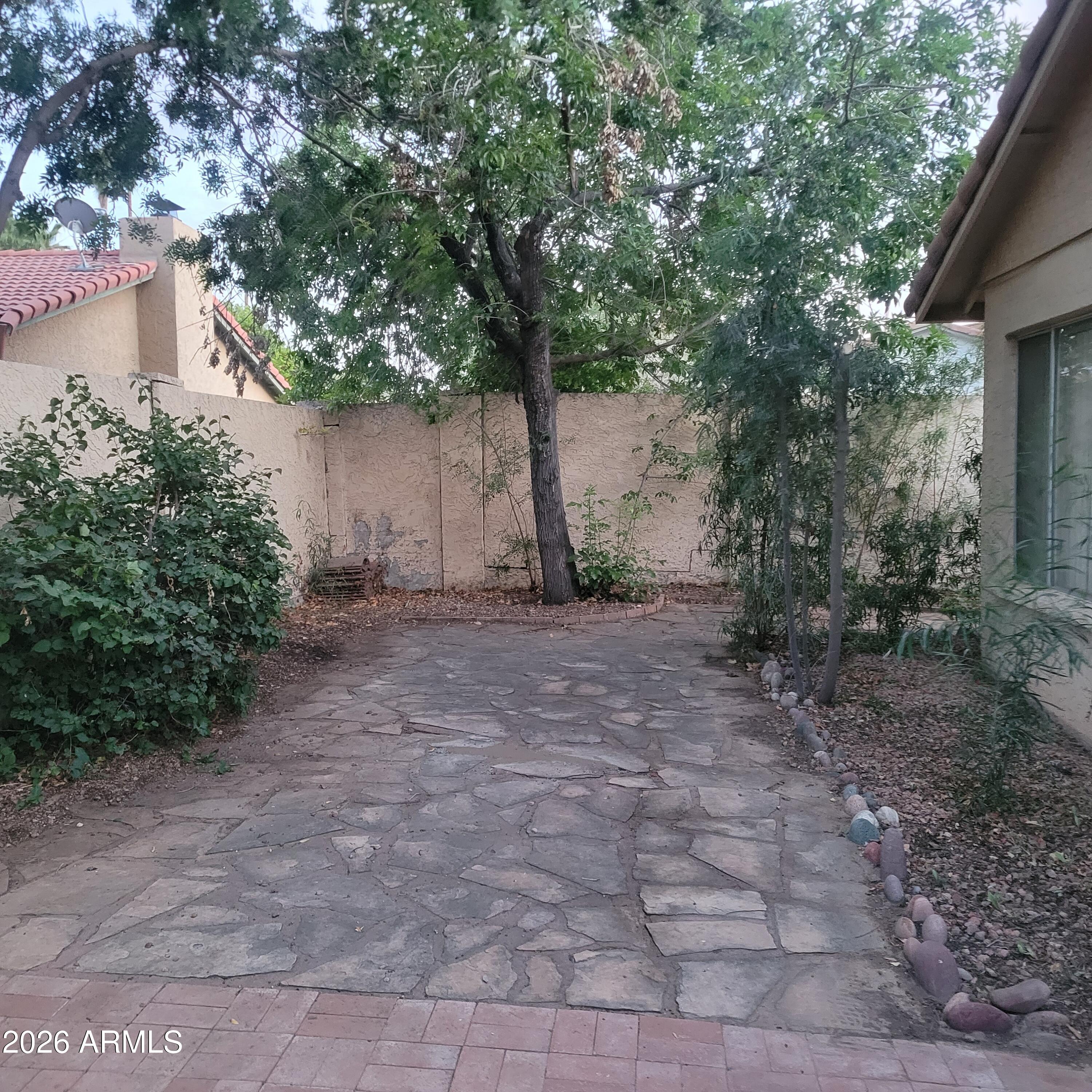 5605 South Spinnaker Road Tempe, AZ 85283 - Photo 22 of 26 a view of a backyard with large trees