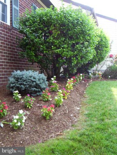3817 Perryhurst Place Nottingham, MD 21236 - Photo 3 of 21 Garden