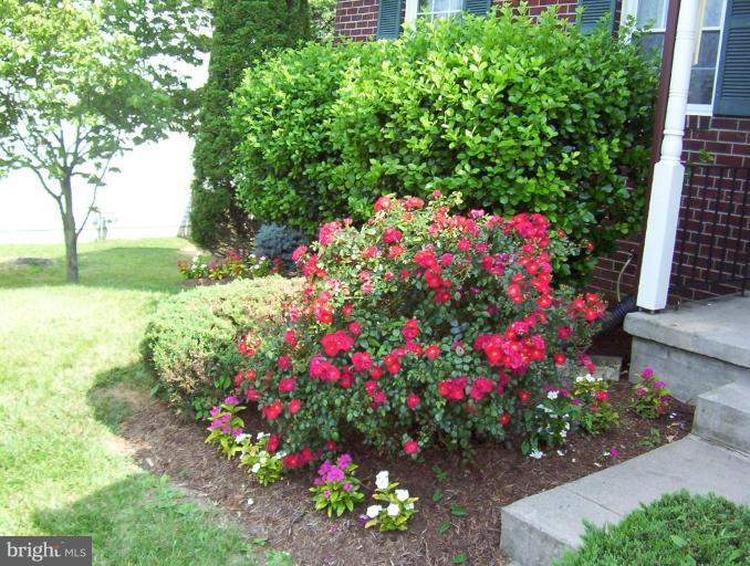 3817 Perryhurst Place Nottingham, MD 21236 - Photo 4 of 21 Garden #2