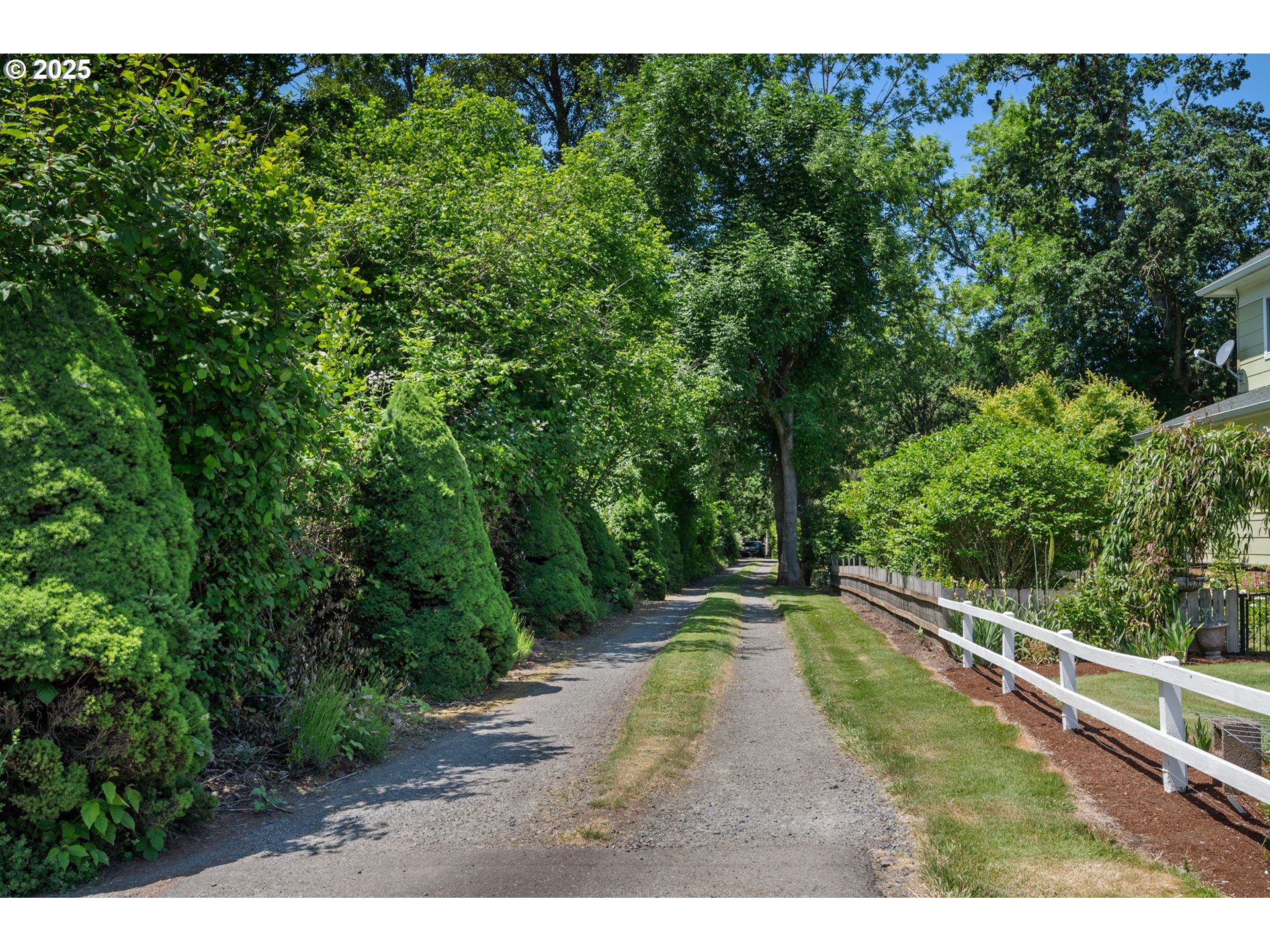 31255 South Kauffman Road Canby, OR 97013 - Photo 2 of 48 a view of a yard with a tree
